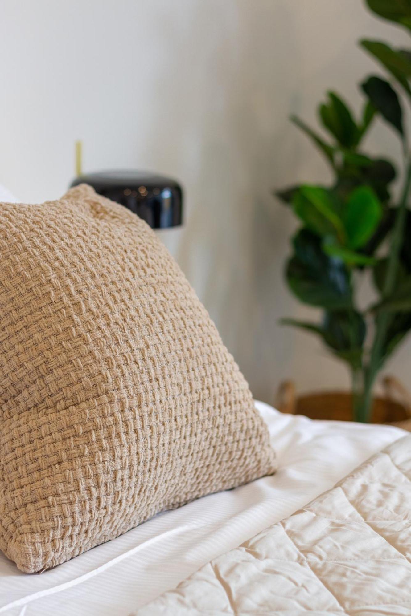 כרייסטצ'רץ' Single Level Studio, Cbd Escape: King Bed מראה חיצוני תמונה